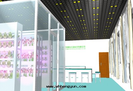 設施化(huà)無土(tǔ)栽培