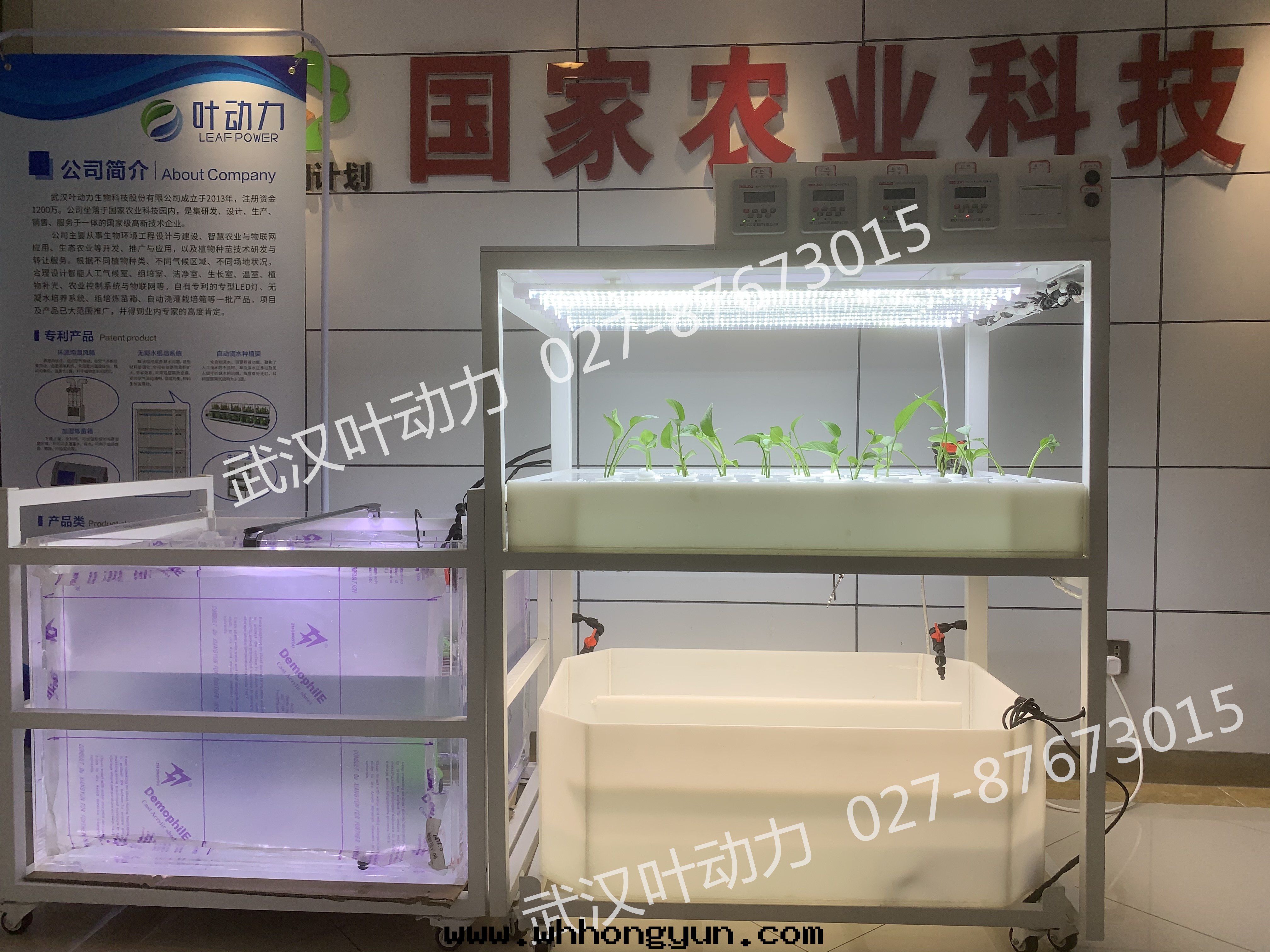 鱼菜共(gòng)生(shēng)