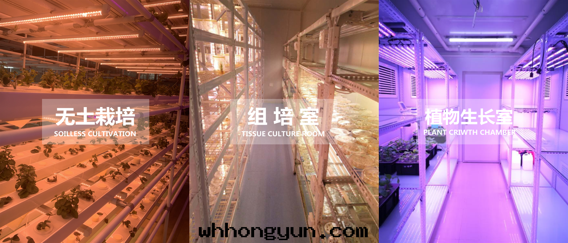 武漢葉(yè)動(dòng)力生(shēng)物(wù)科技股份有(yǒu)限公(gōng)司