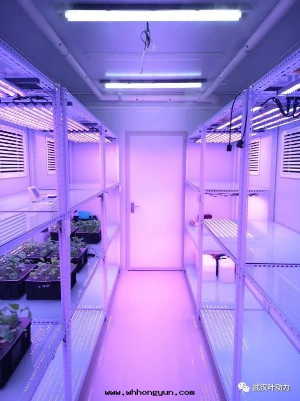 智能(néng)人(rén)工气(qì)候室(shì)