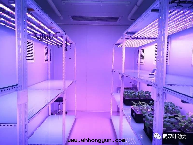 智能(néng)人(rén)工气(qì)候室(shì)