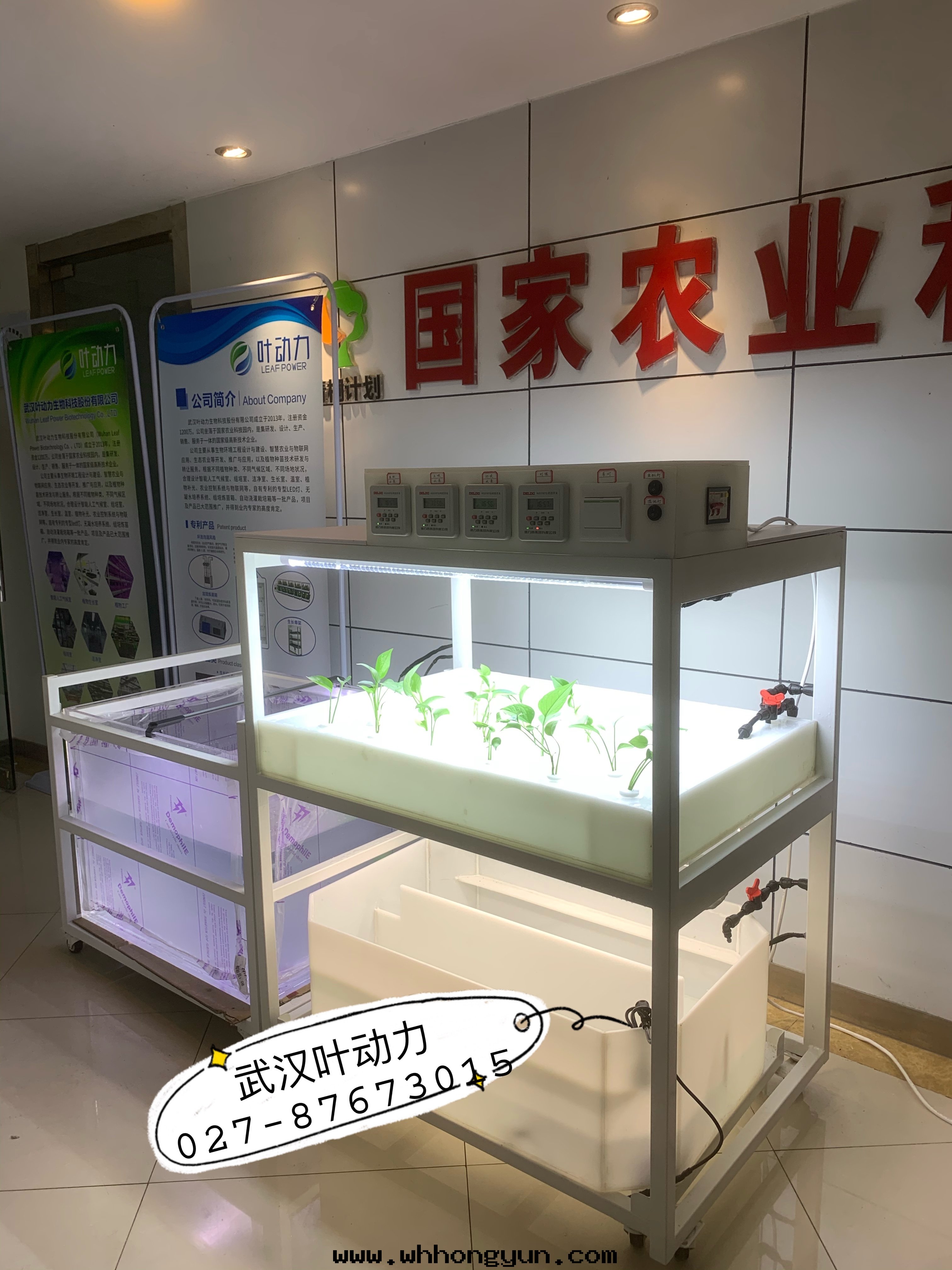 鱼菜共(gòng)生(shēng)