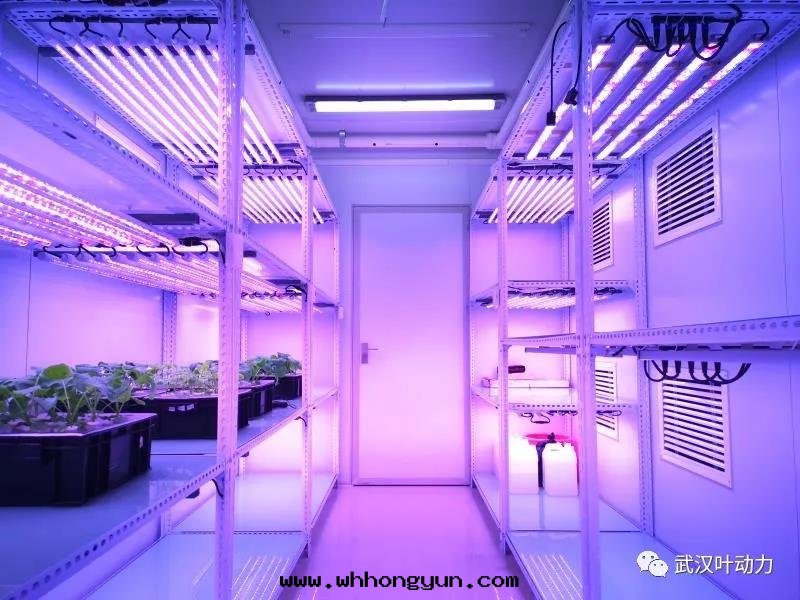 智能(néng)人(rén)工气(qì)候室(shì)