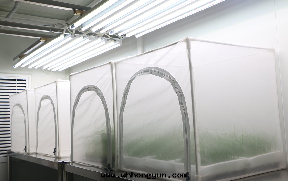 智能(néng)養蟲室(shì)