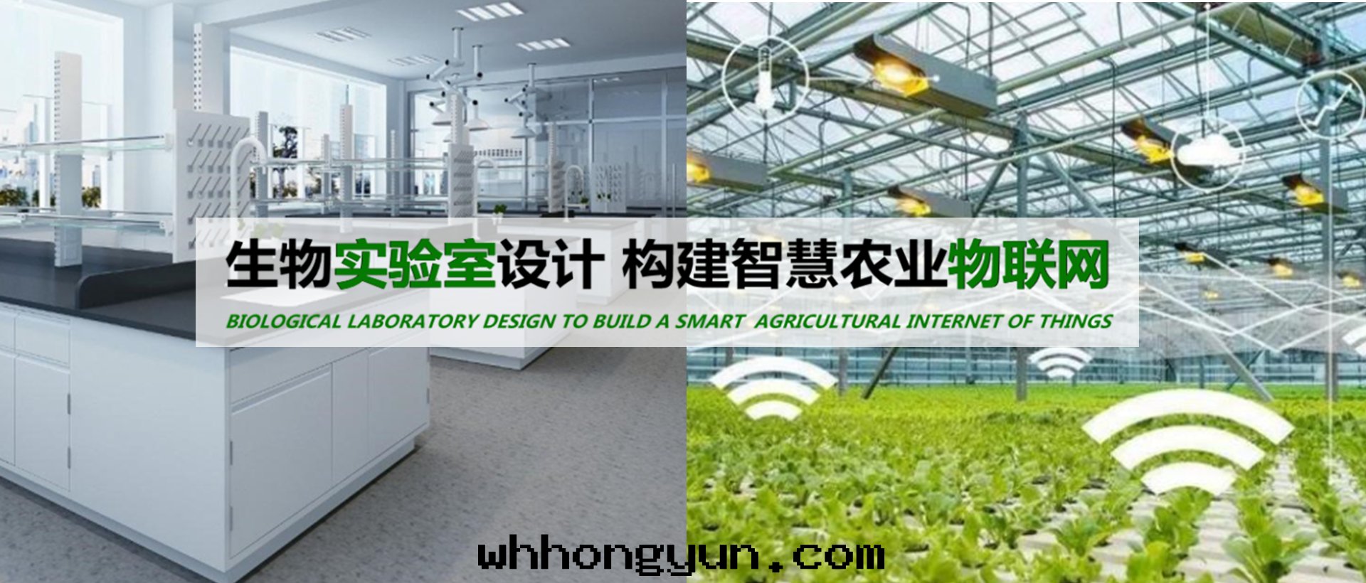 武漢葉(yè)動(dòng)力生(shēng)物(wù)科技股份有(yǒu)限公(gōng)司