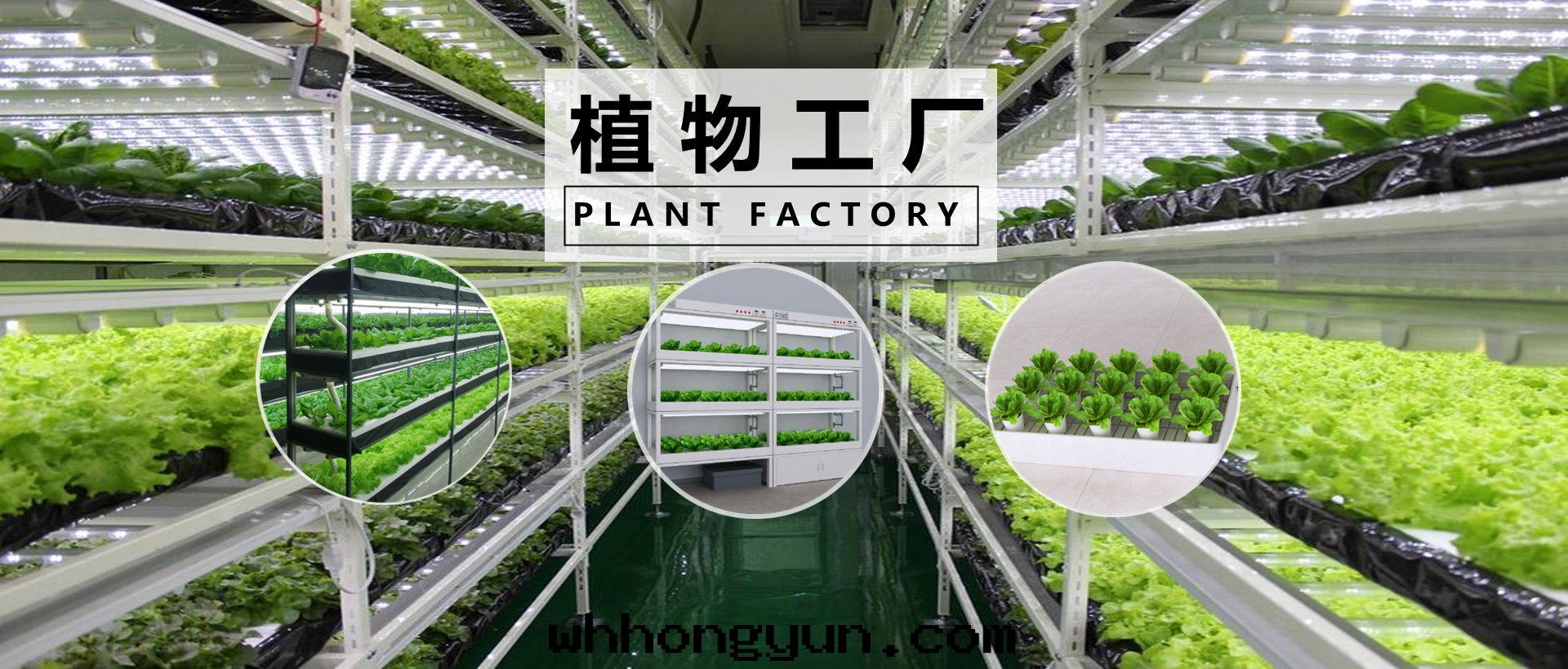 武漢葉(yè)動(dòng)力生(shēng)物(wù)科技股份有(yǒu)限公(gōng)司