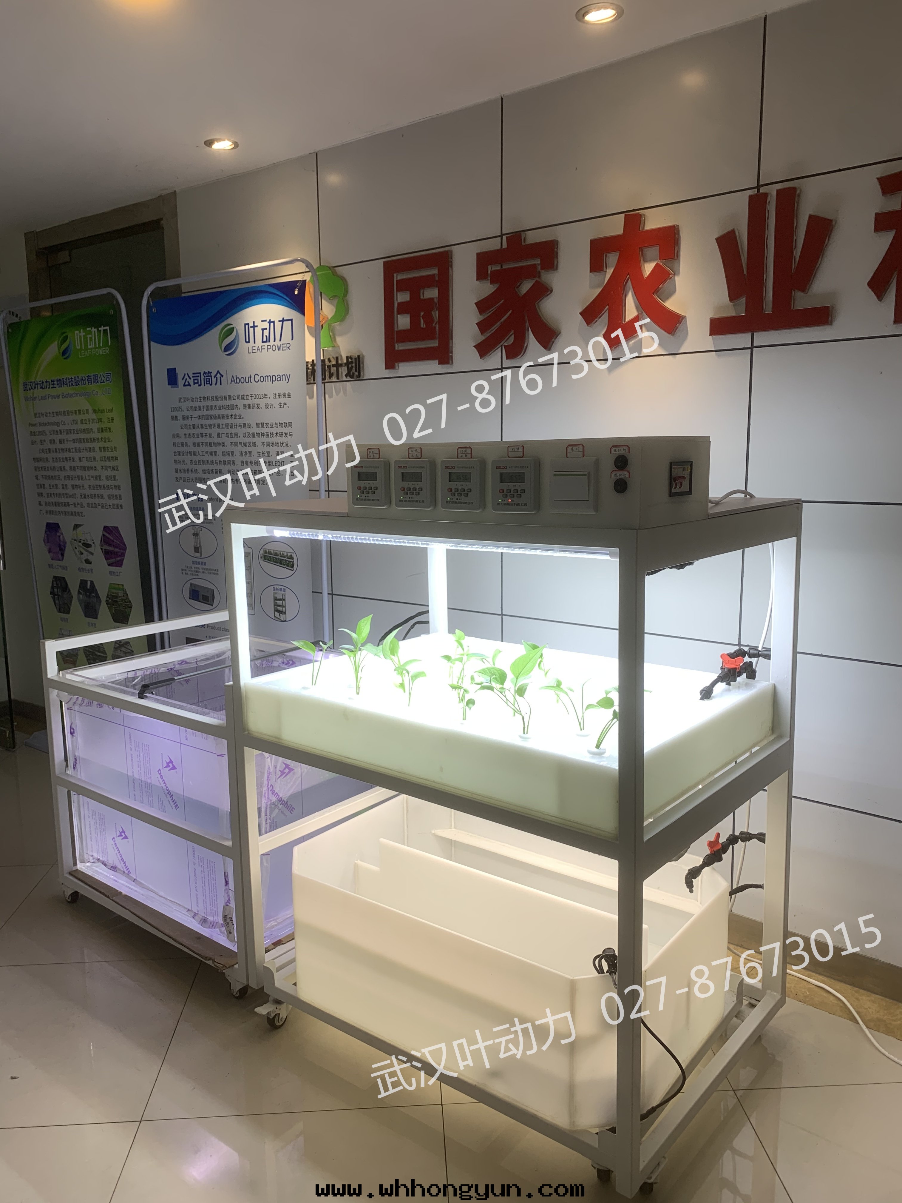 鱼菜共(gòng)生(shēng)