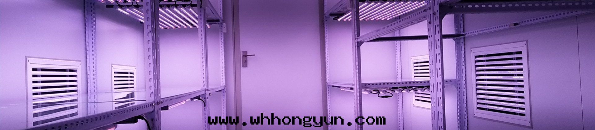 武漢葉(yè)動(dòng)力生(shēng)物(wù)科技股份有(yǒu)限公(gōng)司