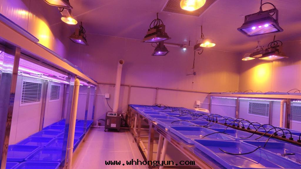 智能(néng)人(rén)工气(qì)候室(shì)