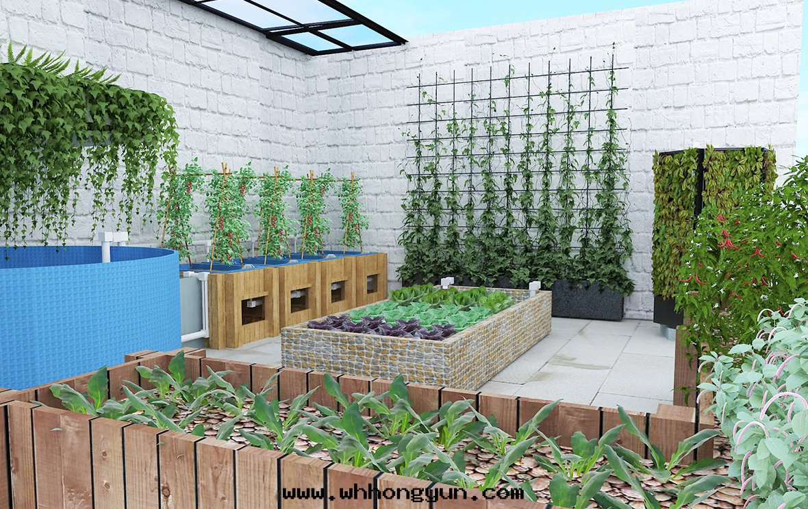 鱼菜共(gòng)生(shēng)