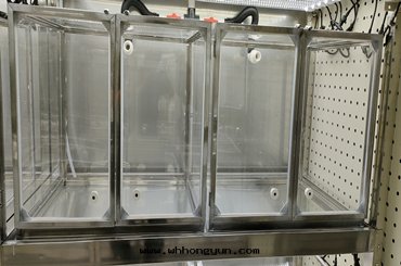 加速育種(zhǒng)室(shì)