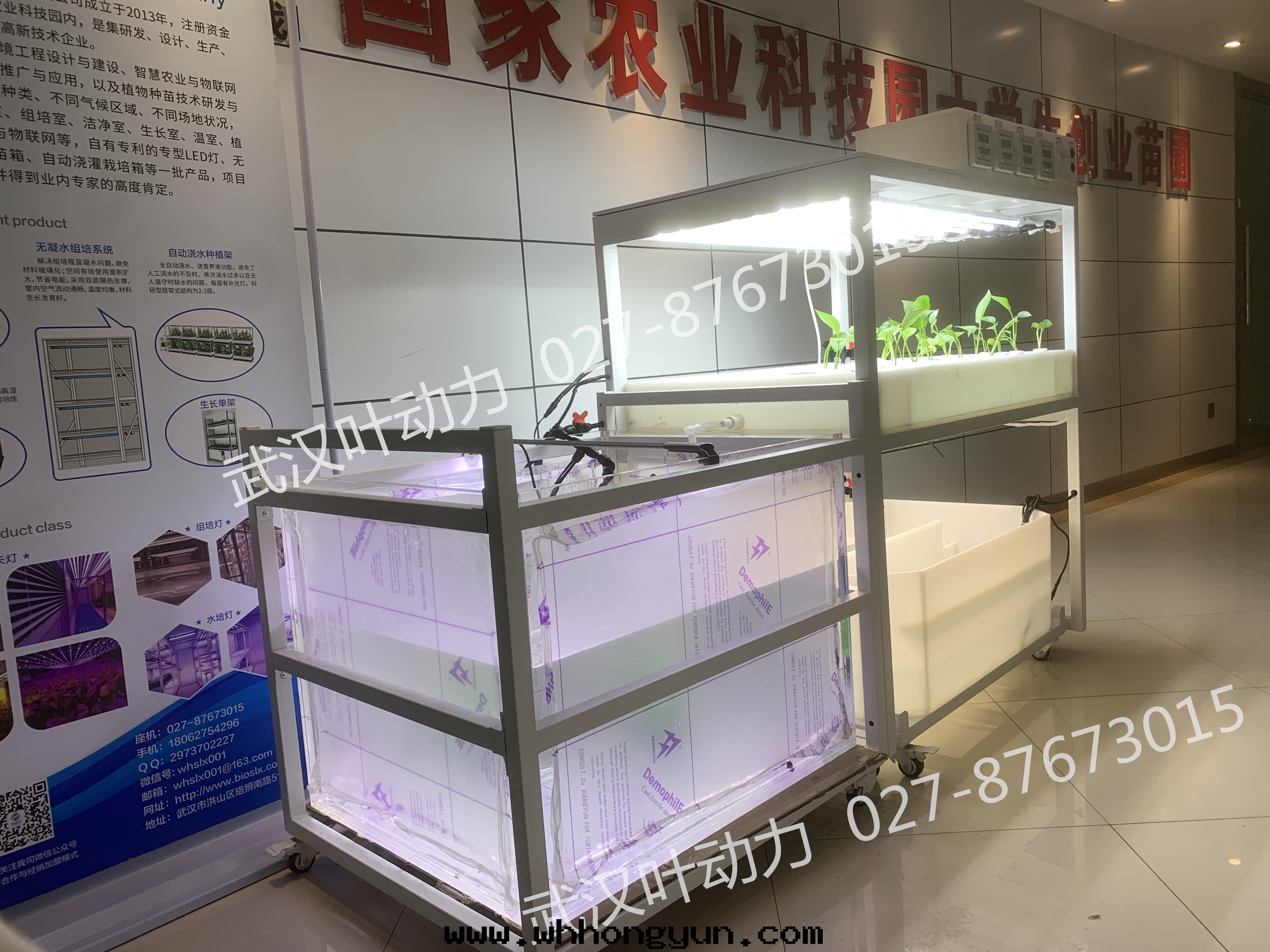 鱼菜共(gòng)生(shēng)