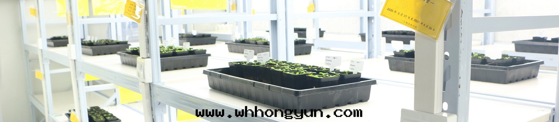 武漢葉(yè)動(dòng)力生(shēng)物(wù)科技股份有(yǒu)限公(gōng)司	