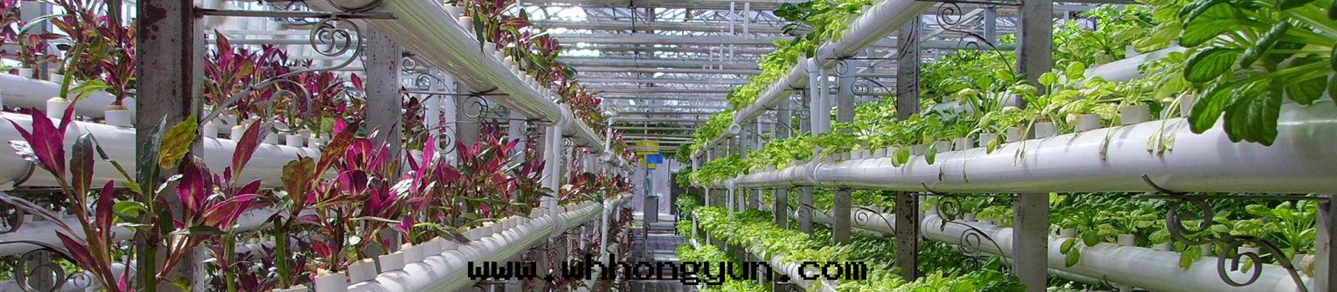 武漢葉(yè)動(dòng)力生(shēng)物(wù)科技股份有(yǒu)限公(gōng)司