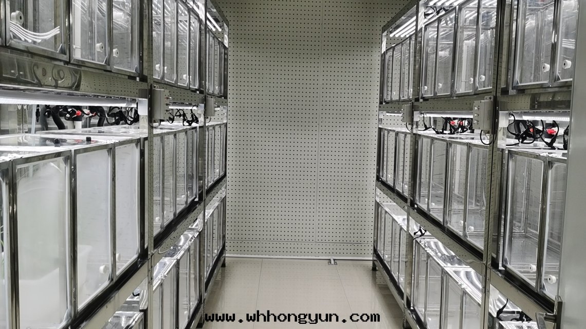 加速育種(zhǒng)室(shì)